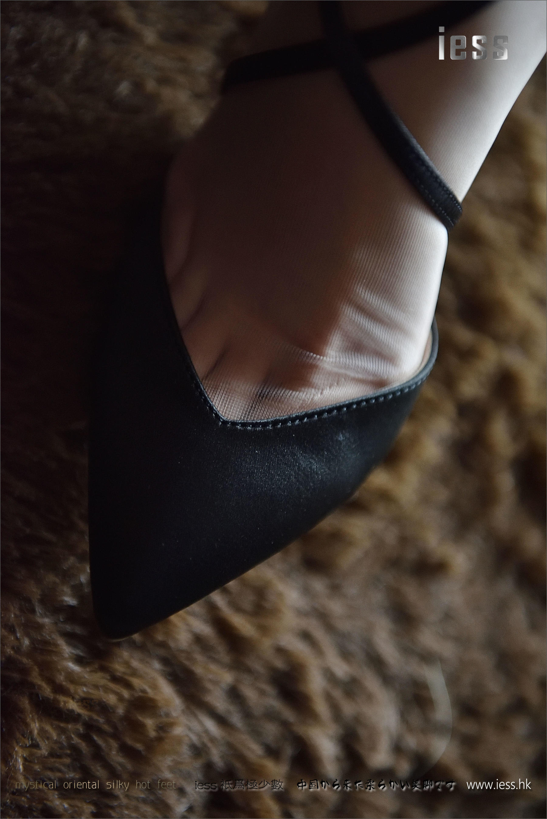 丝足便当085 公子 《公子与她的丝袜实验室》[IESS异思趣向]