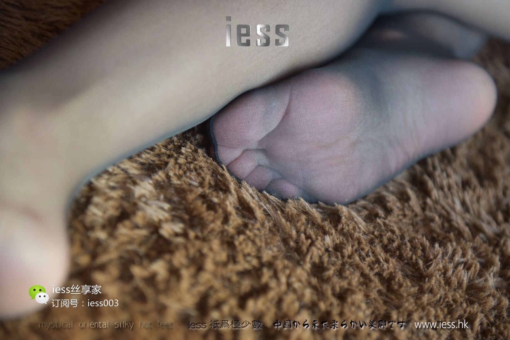 丝享家015 秋秋 《黑色的光明》[IESS异思趣向]