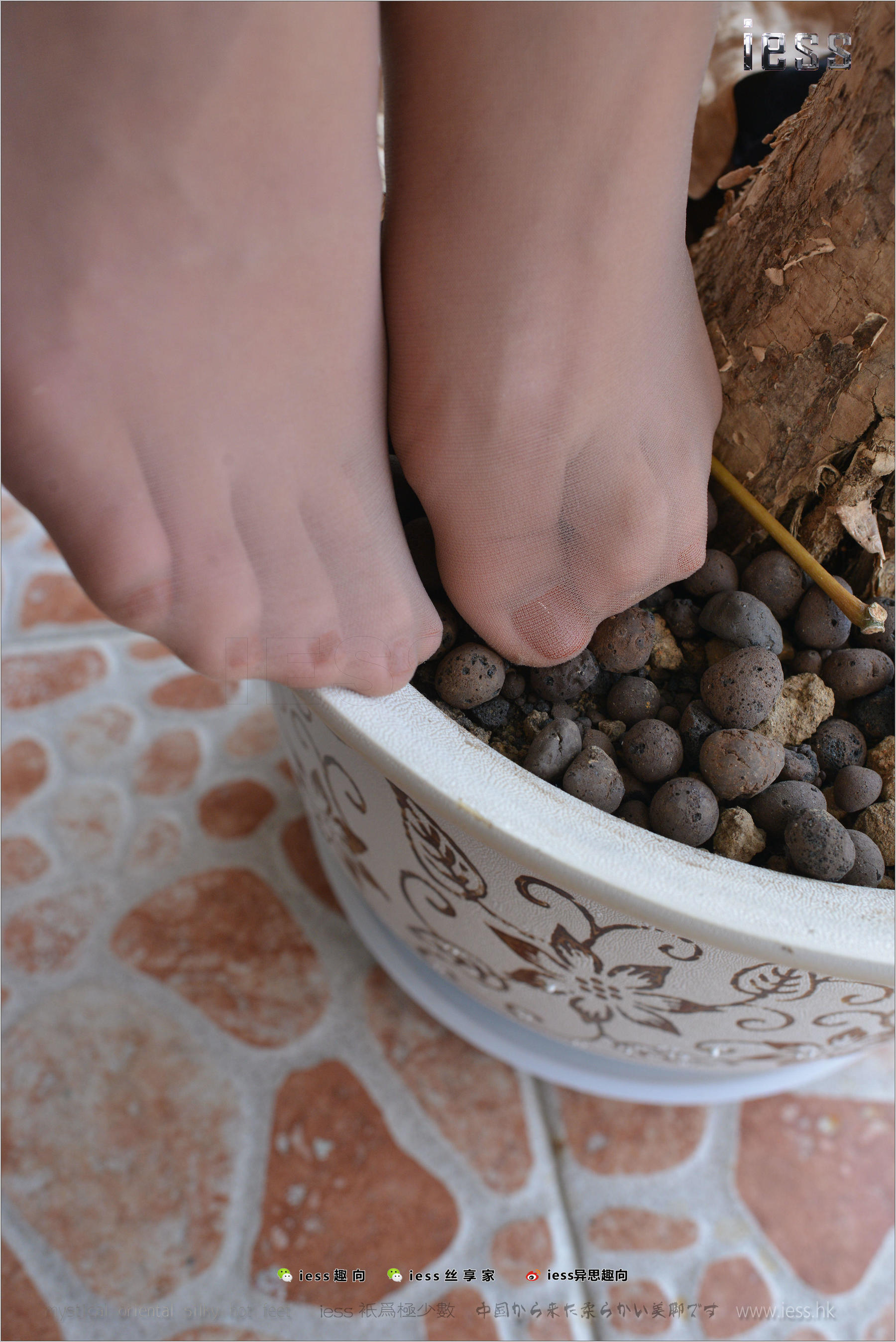 丝足便当165 表妹 《老大的远房表妹》[IESS异思趣向]