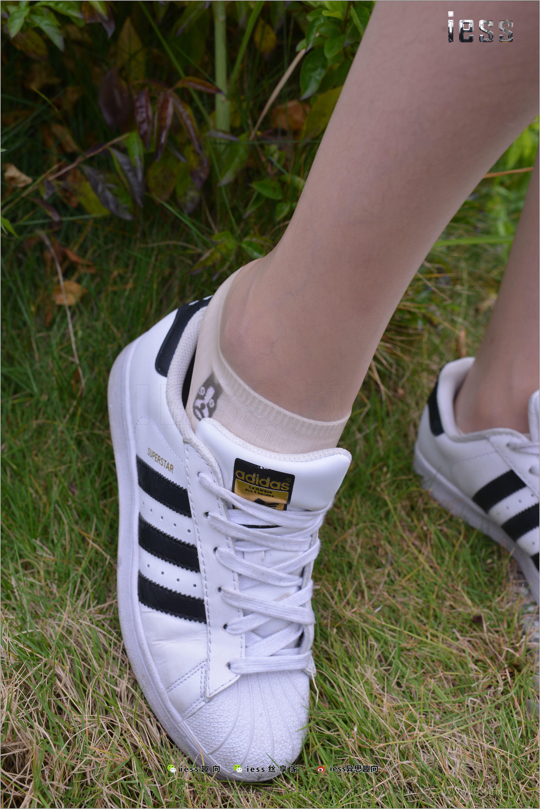 丝足便当172 圆叔叔 《丝袜棉袜贝壳头》双十一特辑_[IESS异思趣向]