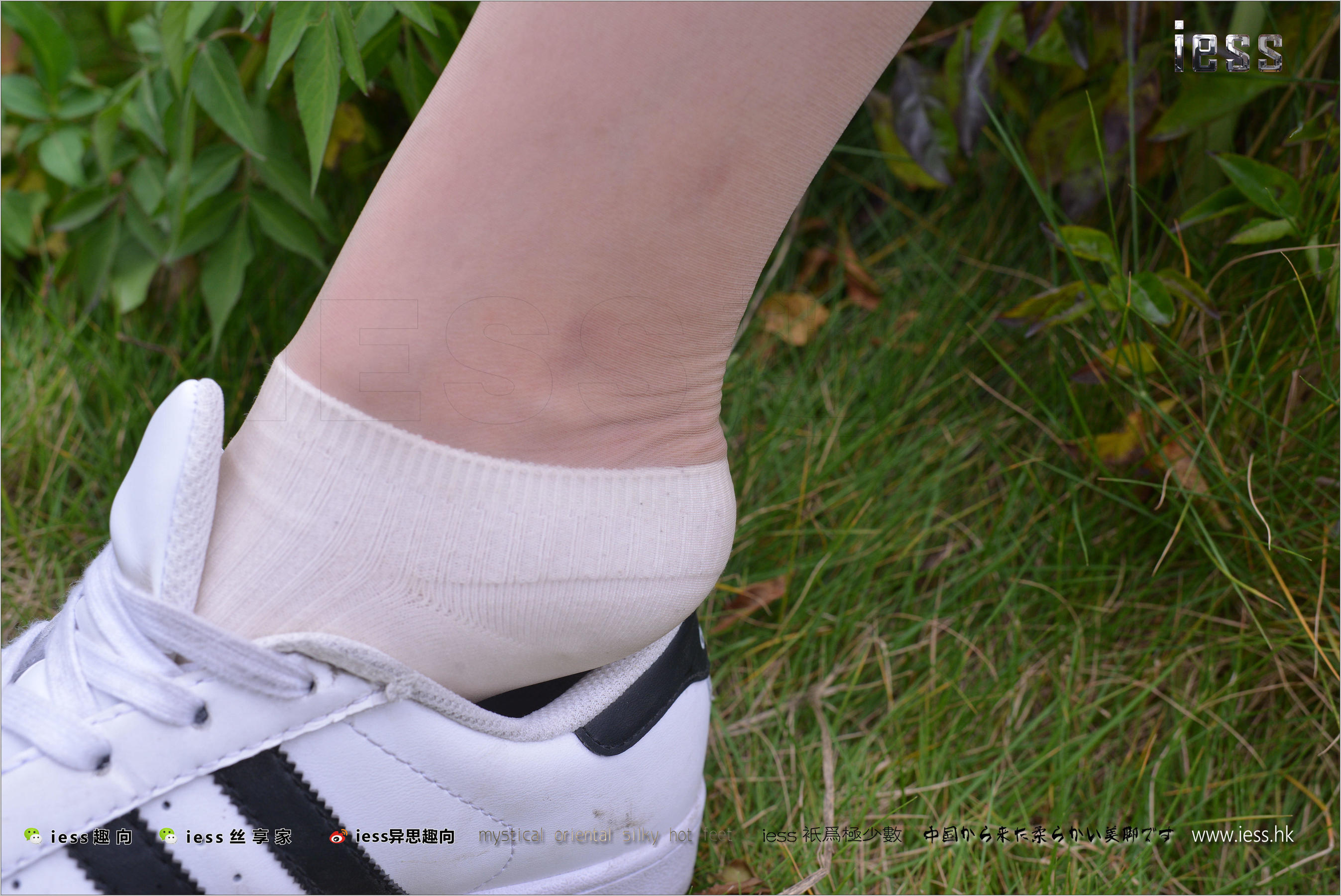 丝足便当172 圆叔叔 《丝袜棉袜贝壳头》双十一特辑_[IESS异思趣向]