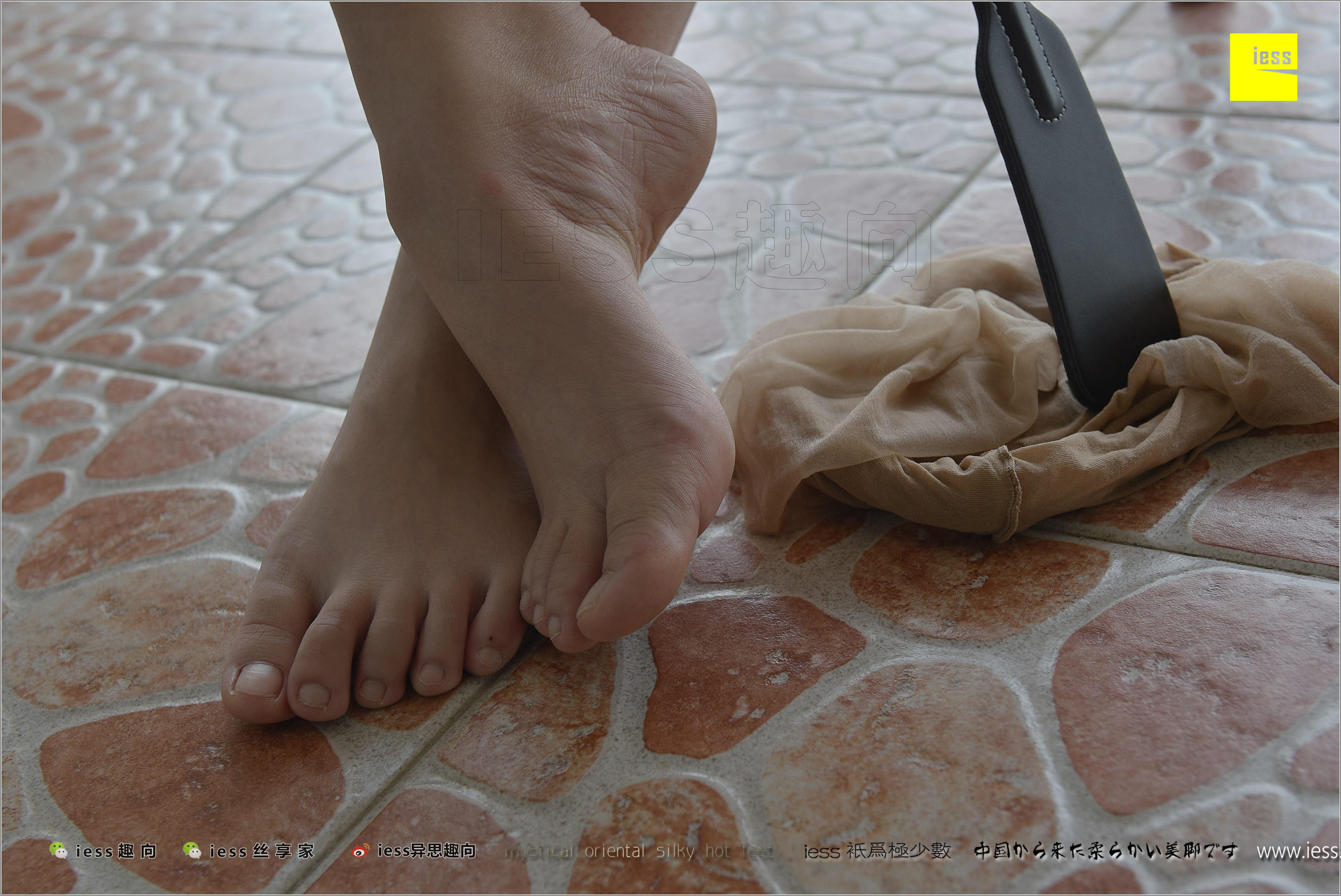 丝足便当184 张馨月 《知足常乐》[IESS异思趣向]