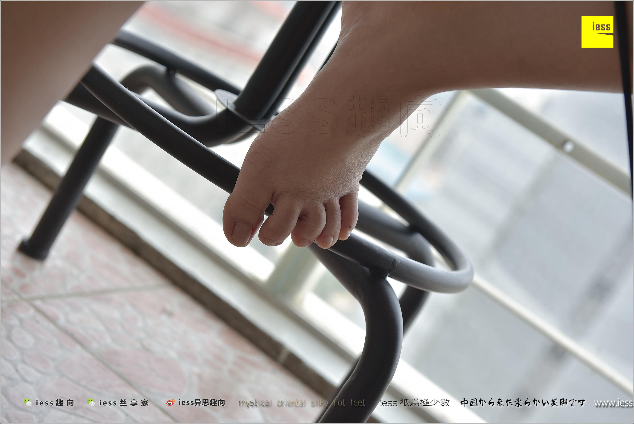 丝足便当184 张馨月 《知足常乐》[IESS异思趣向]