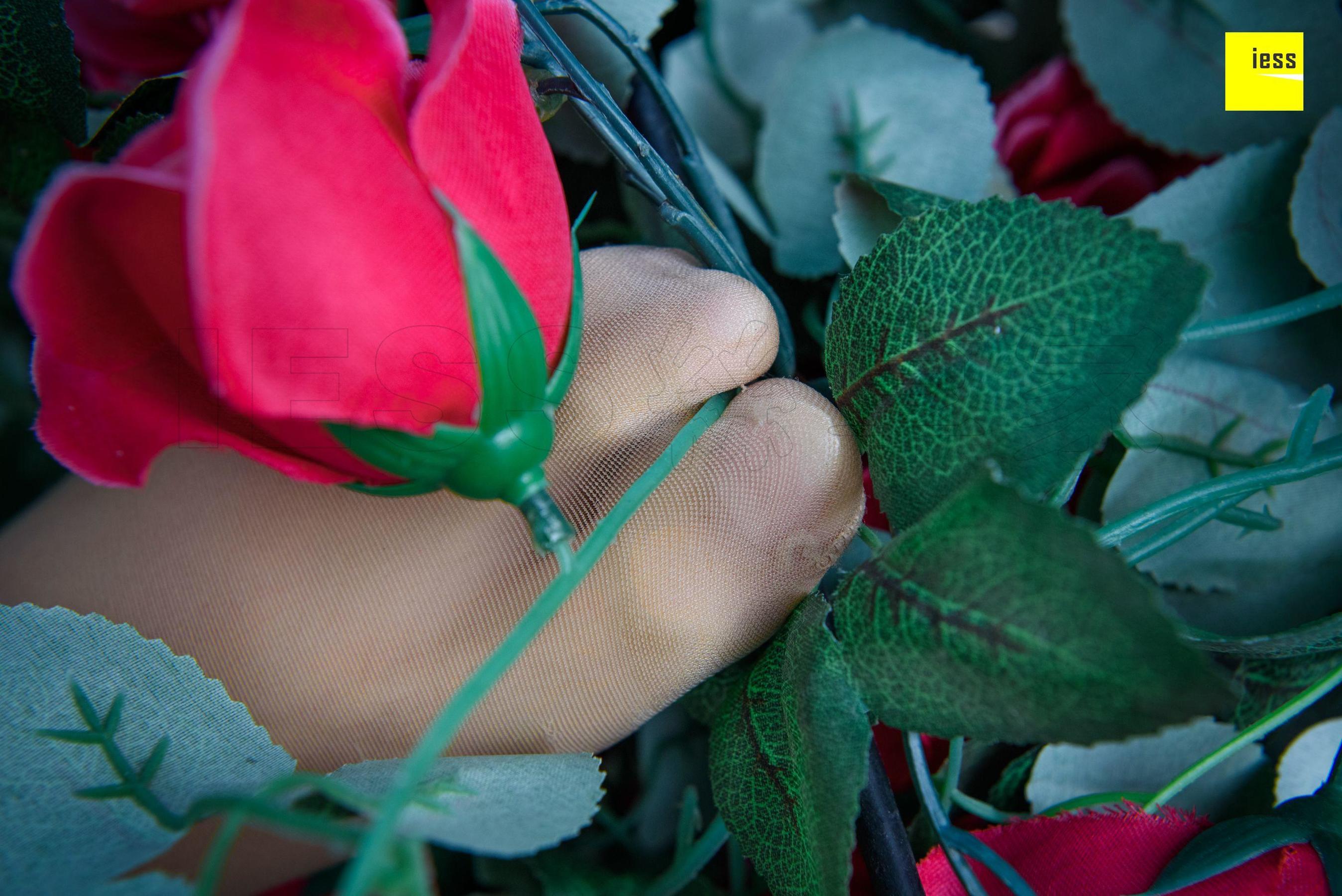 婉萍《玫瑰与肉丝》 [异思趣向IESS] 丝享家161