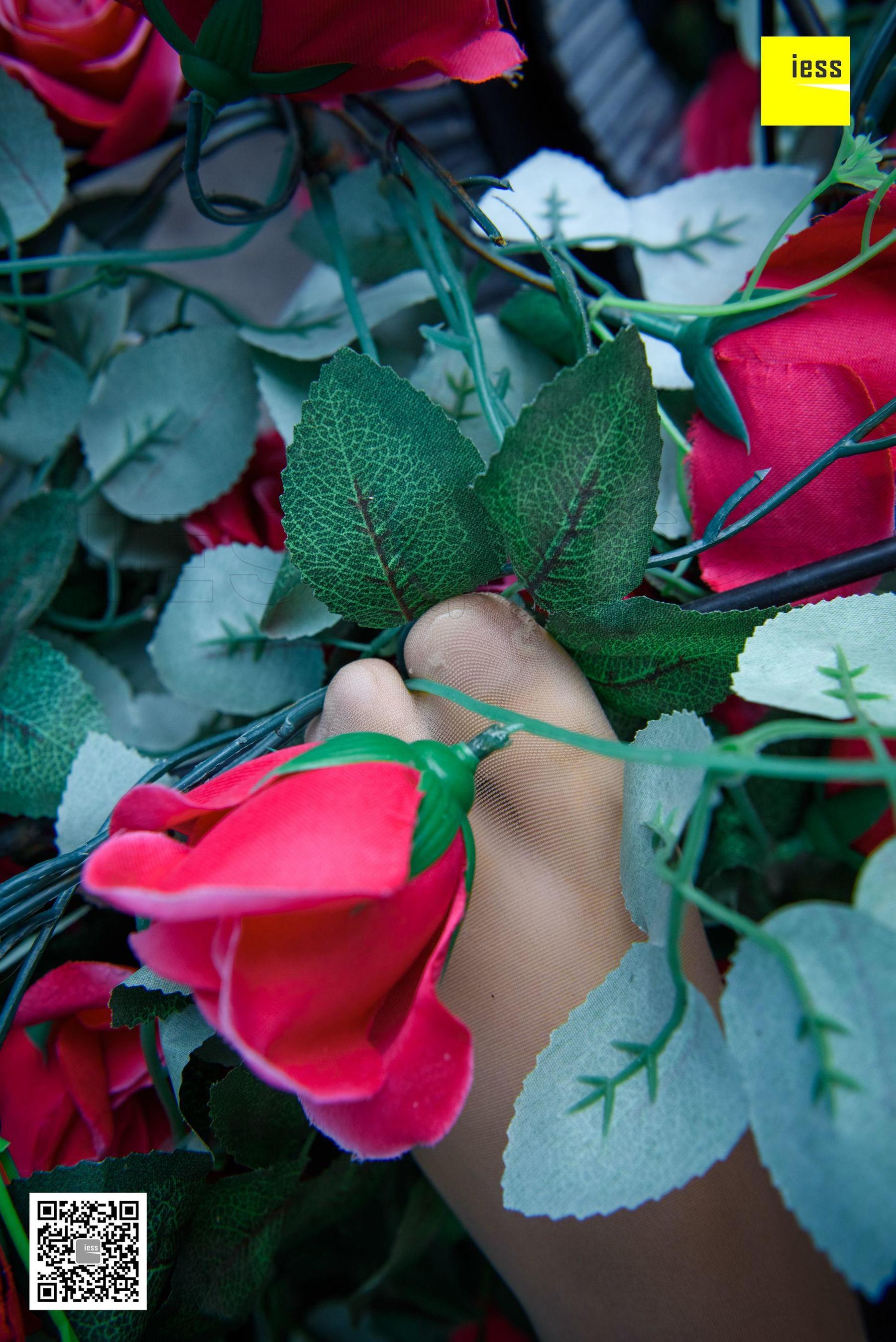 婉萍《玫瑰与肉丝》 [异思趣向IESS] 丝享家161