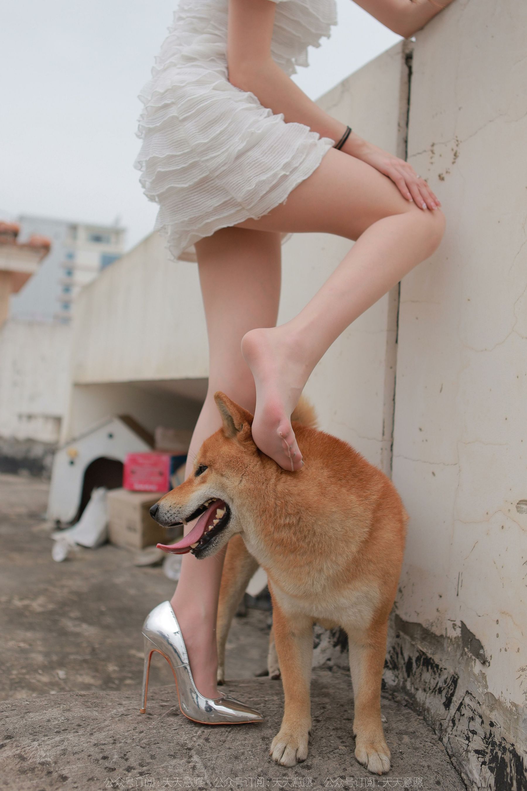 [异思趣向IESS] 模特 佳爷 《12月女神佳爷》